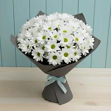 Букет цветов из:  Хризантемы #REPLACE_PRED# Кырене