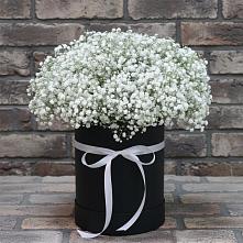 Цветочная композиция из Гипсофила в шляпной коробке в Кырене