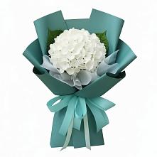 Букет цветов из:  Гортензия в Кырене